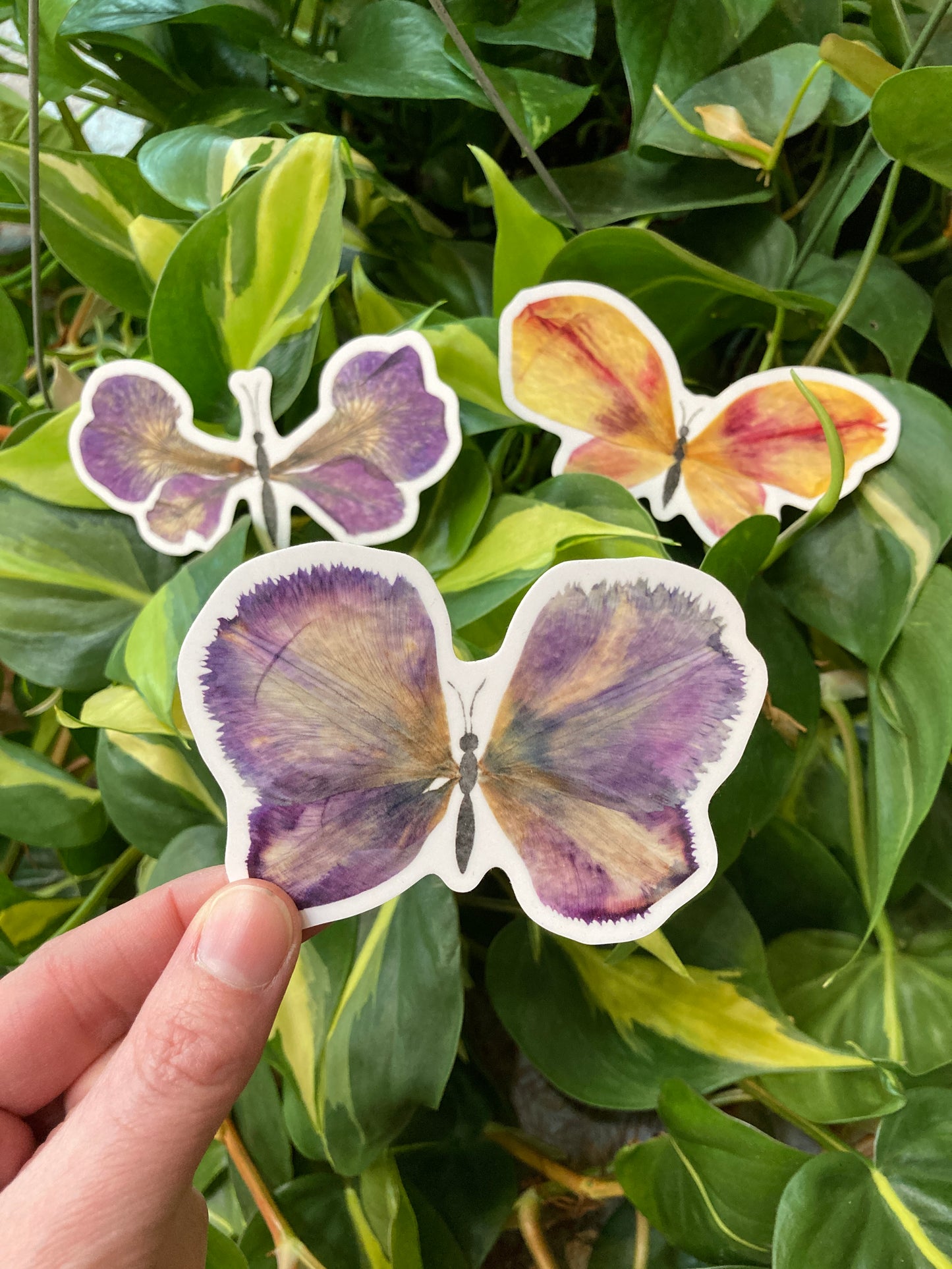 Butterfly Sticker Trio