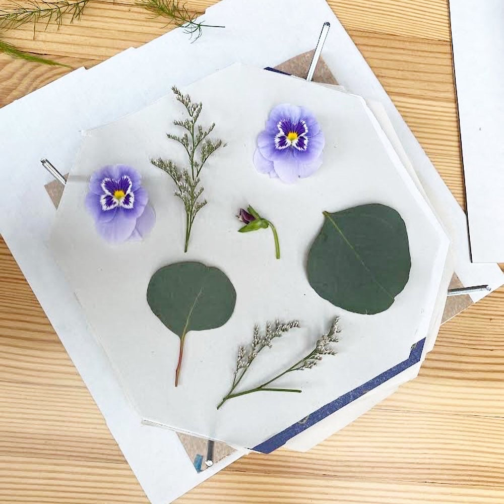 Pressed Flower Workshop at The Fallow Field | June 6 @ 11 am