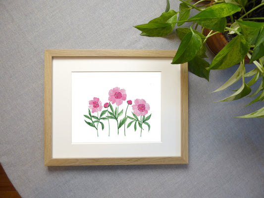 Peony Patch Watercolor Print