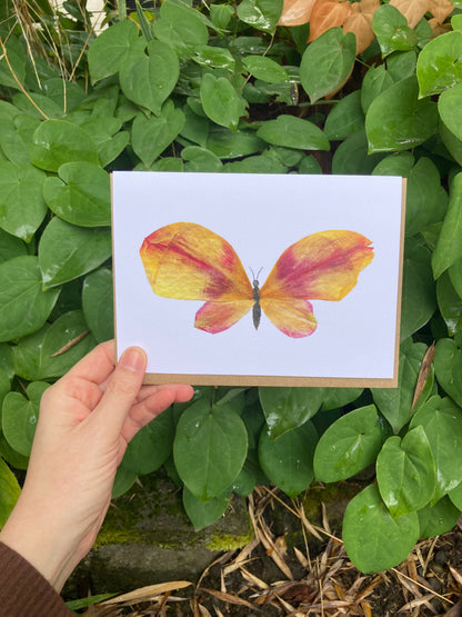 Tulip Petal Butterfly Frameable Card