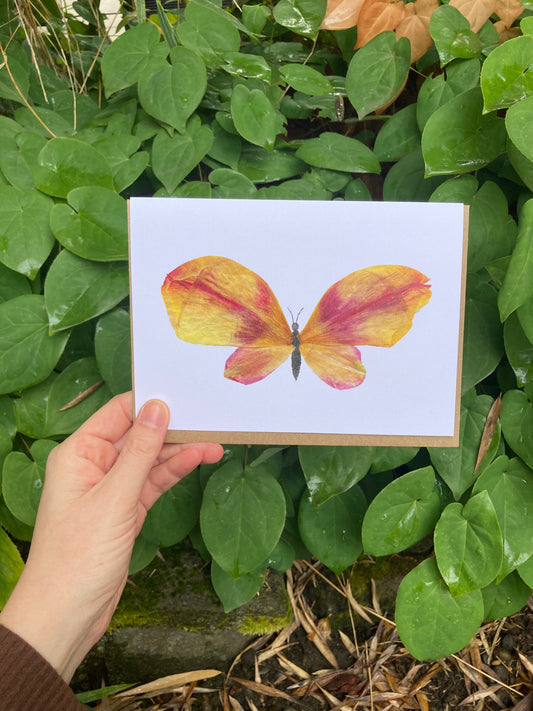 Tulip Petal Butterfly Frameable Card