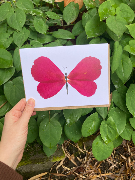 Peony Petal Butterfly Frameable Card