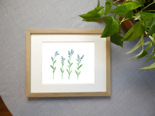 Forget Me Not Watercolor Print