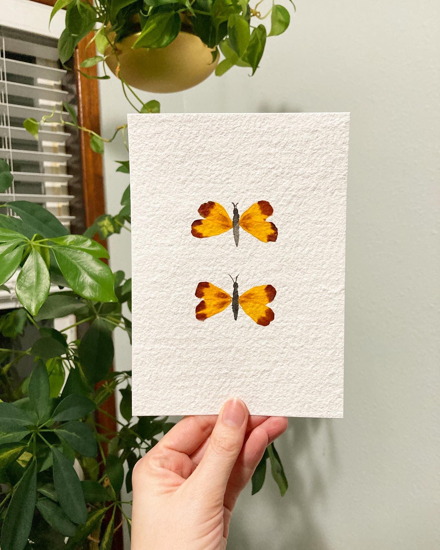 Watercolor & Pressed Flower Butterfly Duo