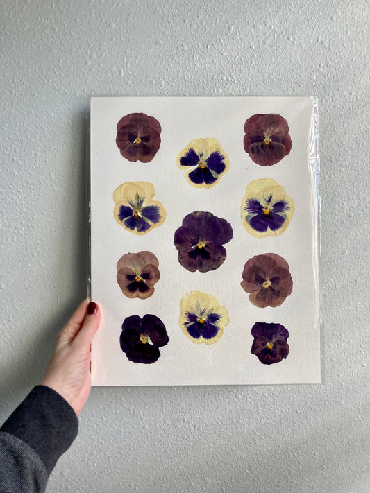 Purple Pressed Pansy Collage