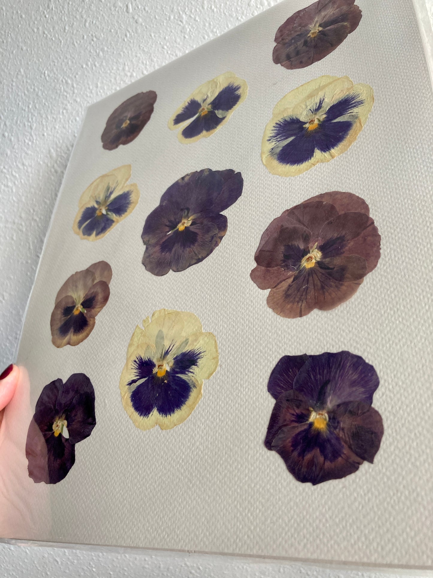 Purple Pressed Pansy Collage