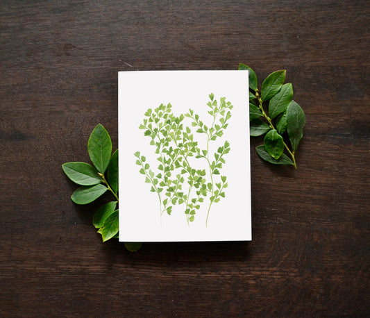 Maidenhair Fern Watercolor Card