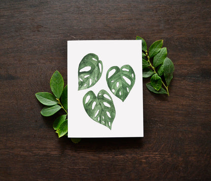 Monstera adansonii Leaf Watercolor Card