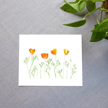Orange Poppies Watercolor Print