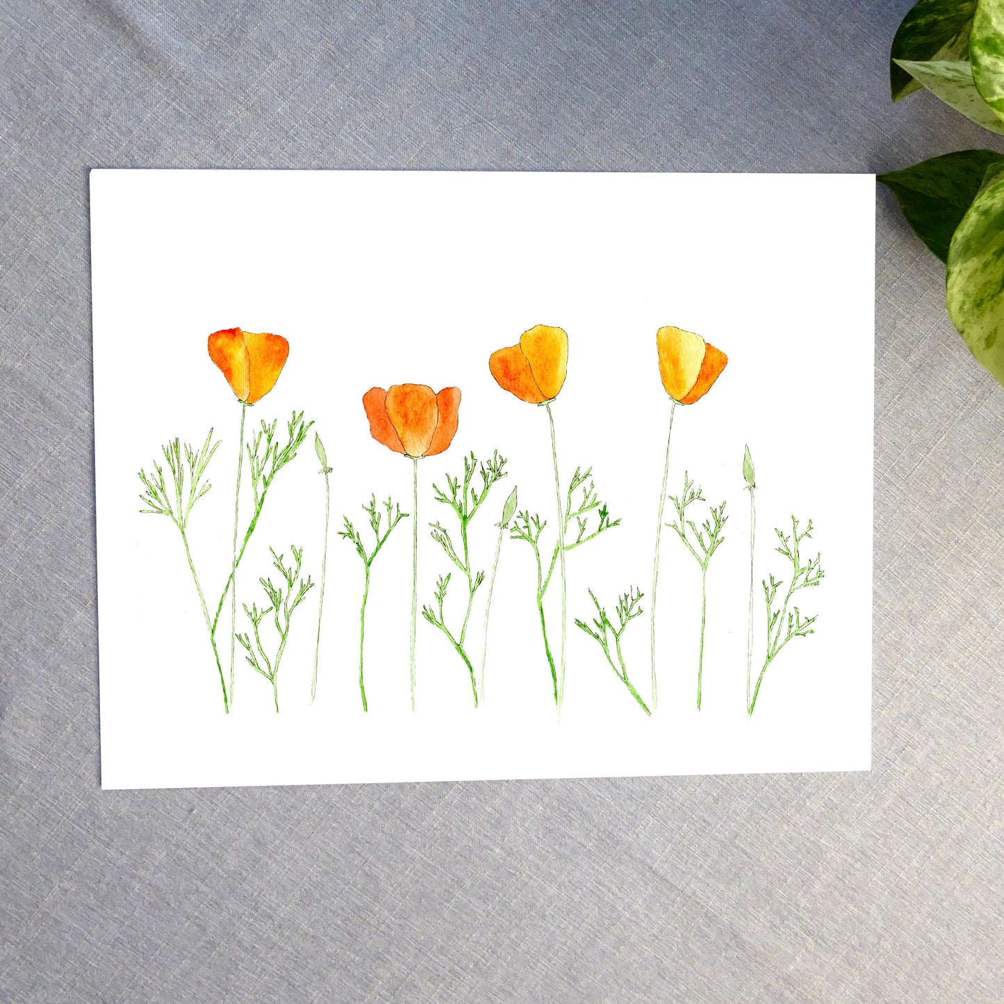 Orange Poppies Watercolor Print