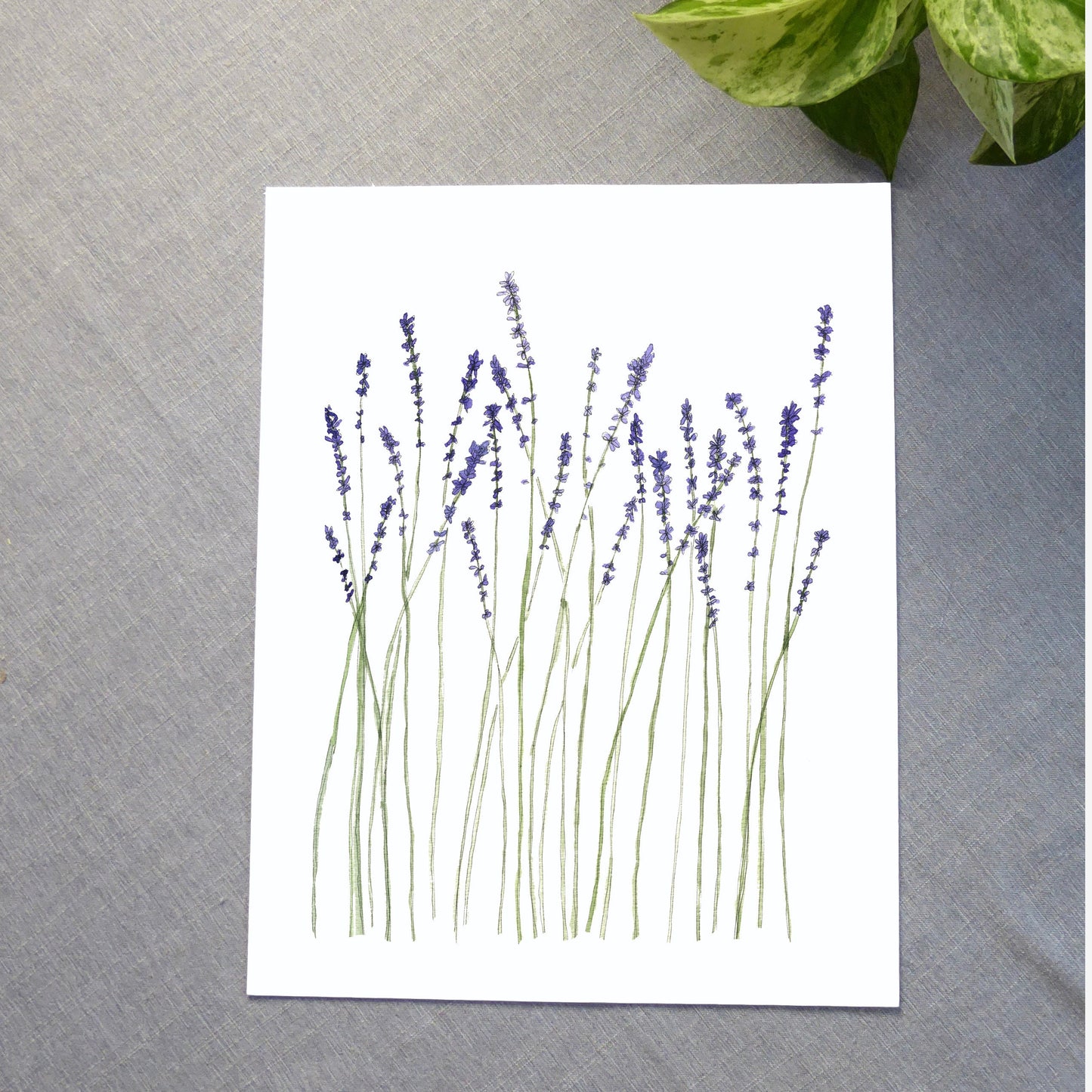 Lavender Watercolor Art Print
