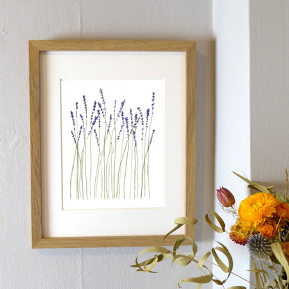 Lavender Watercolor Art Print